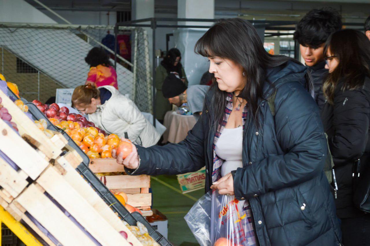 photo_4951893475071209348_y