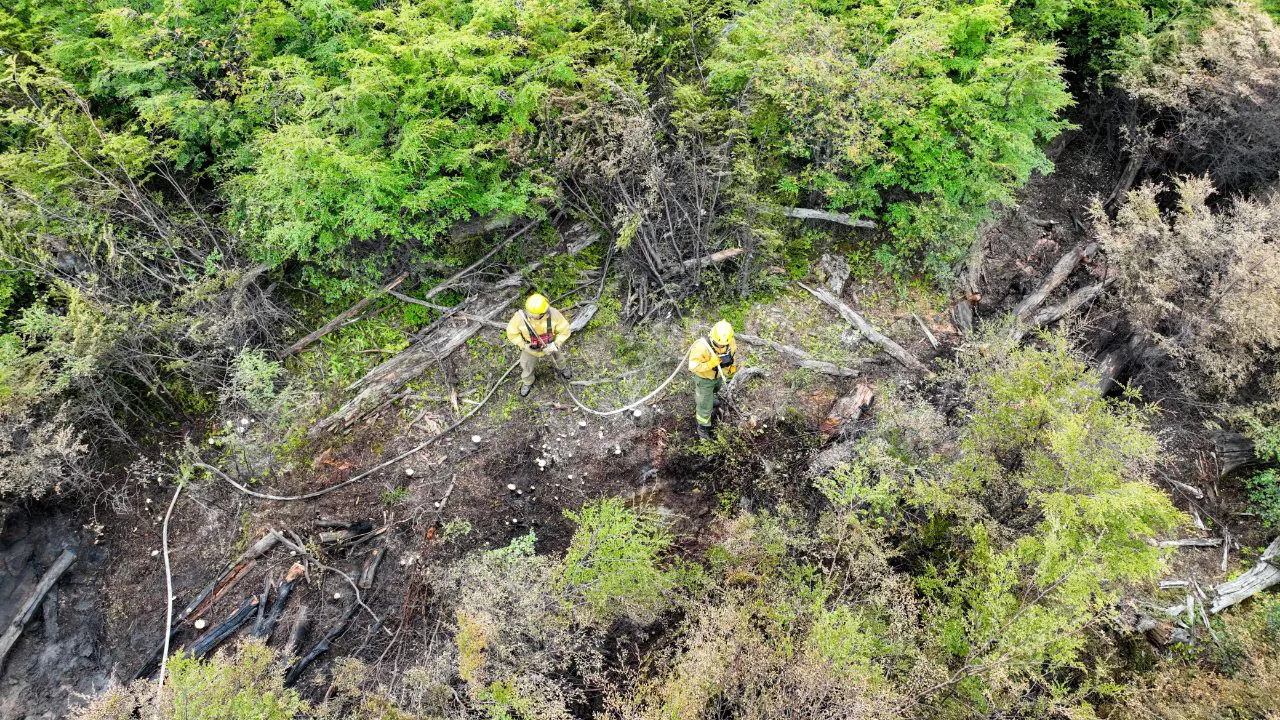 photo_4906880684505806264_y