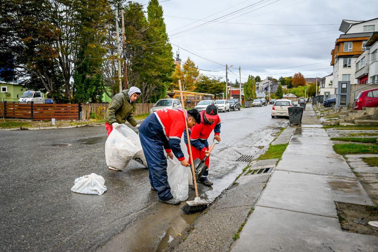 photo_4976593634422009023_y