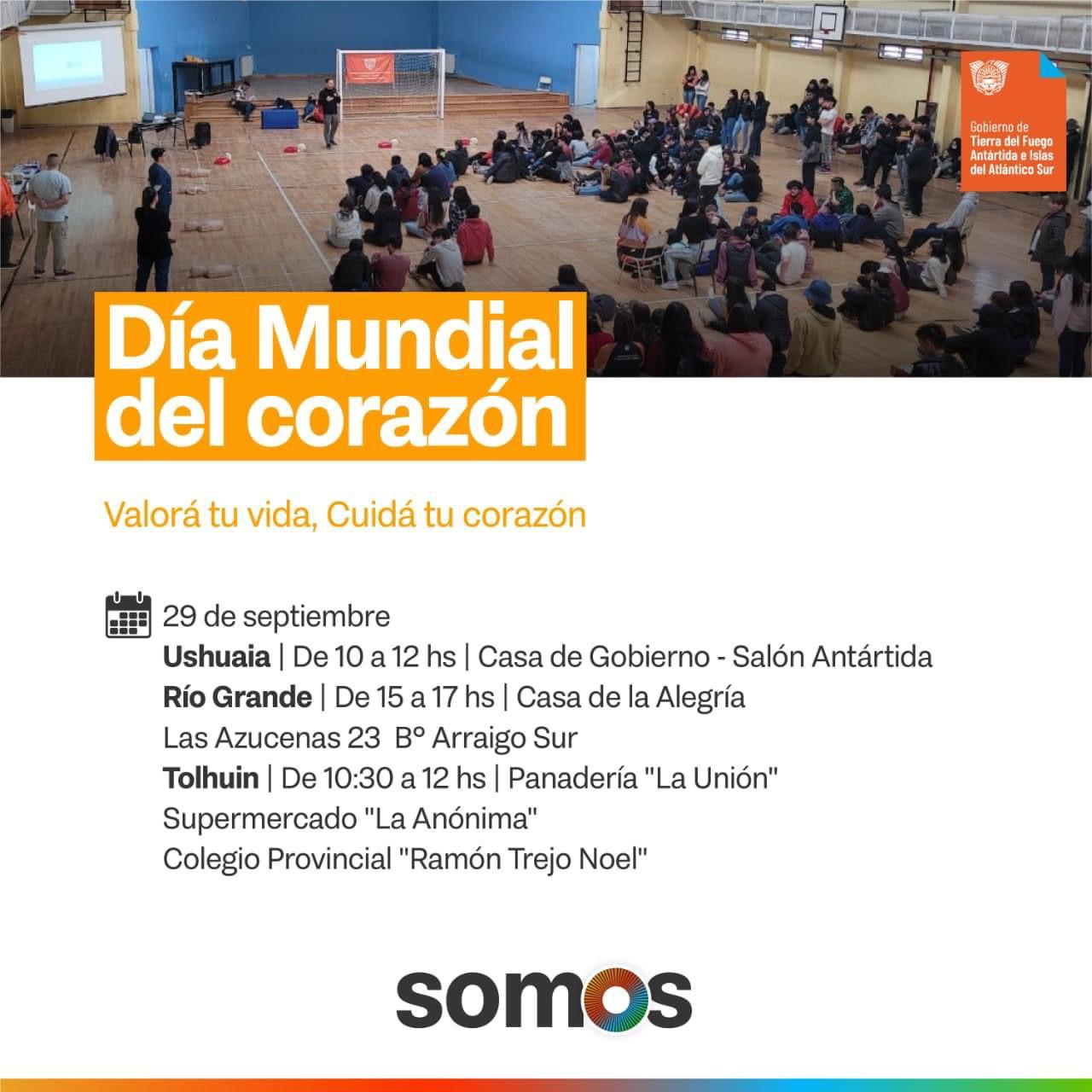 photo_4938512160863165348_y