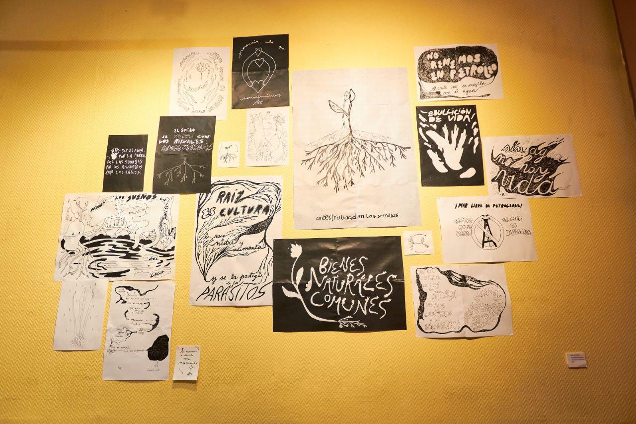 photo_5125259890103790712_y