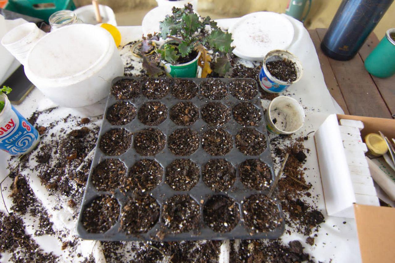 photo_4925155714515708782_y