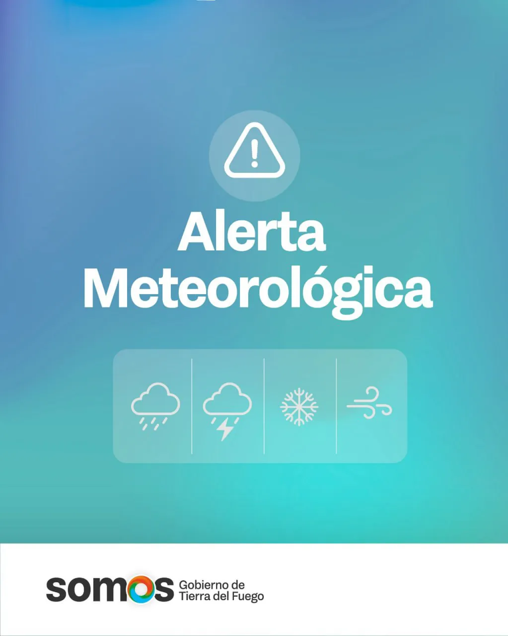 photo_5181693153331841816_y