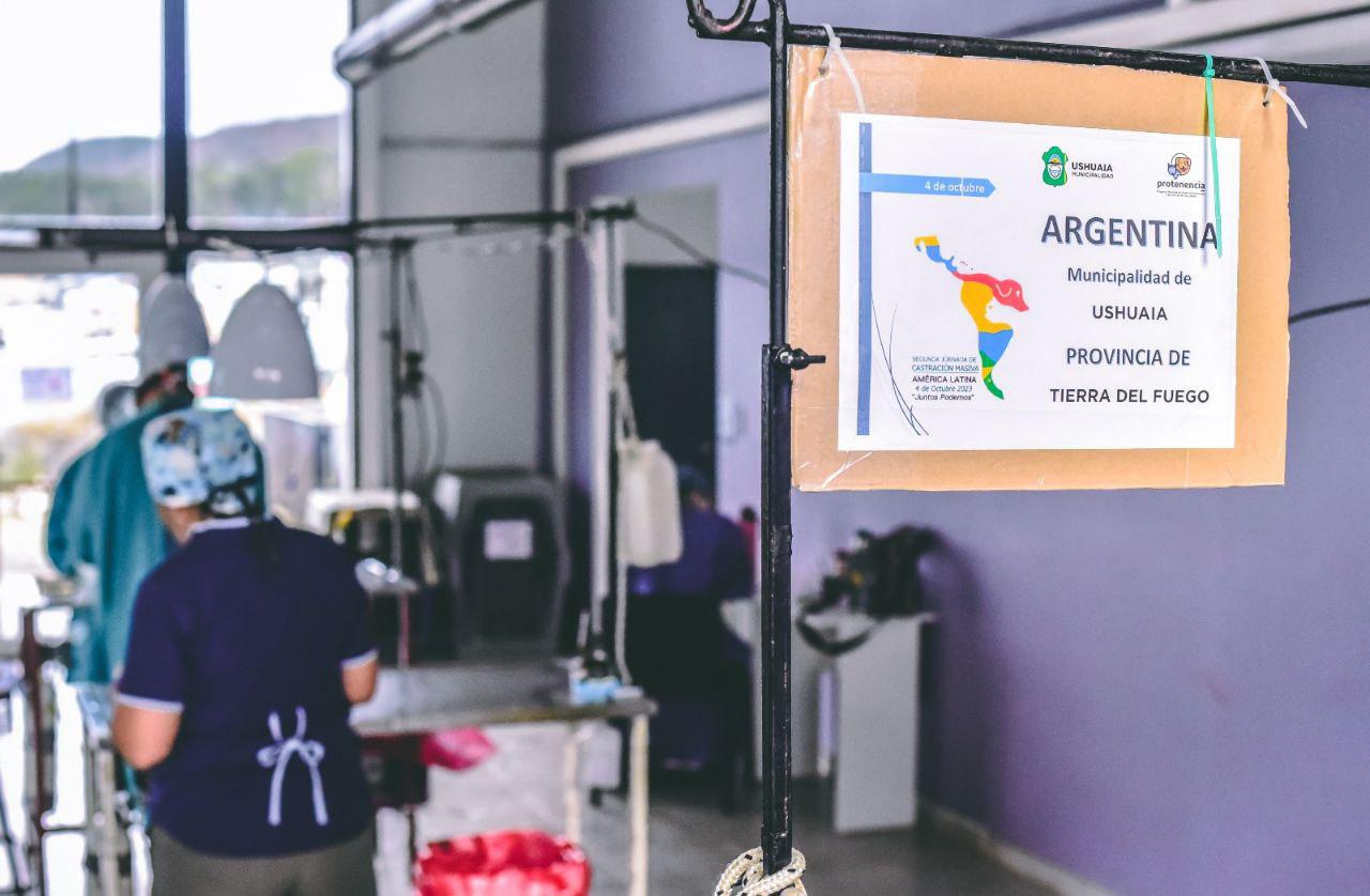 photo_4967684326061878208_y