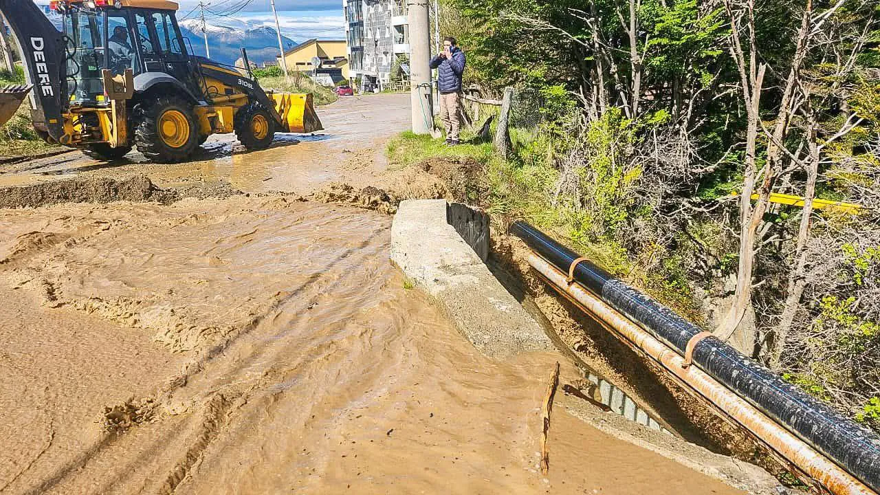 photo_4940705772463655722_y