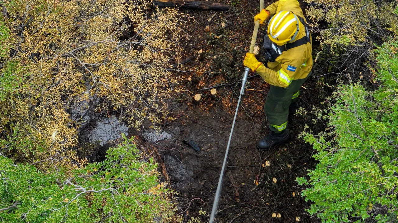 photo_4909388644758957868_y