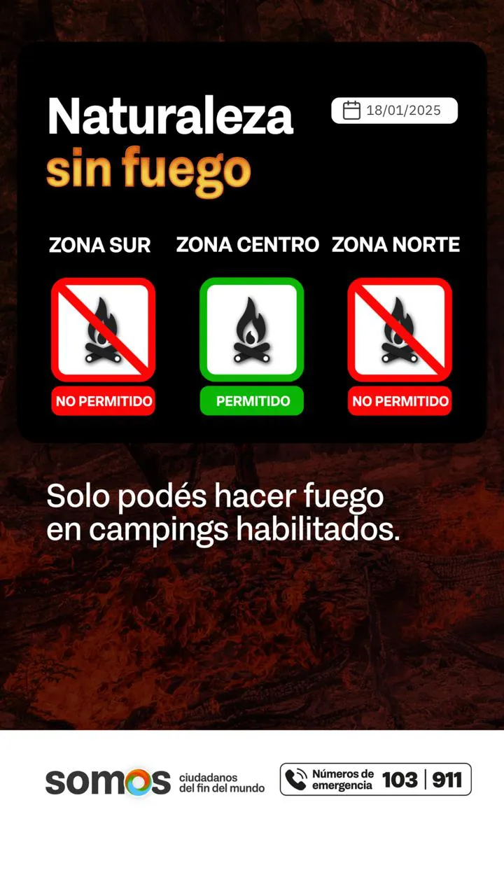 photo_4926949537671654719_y