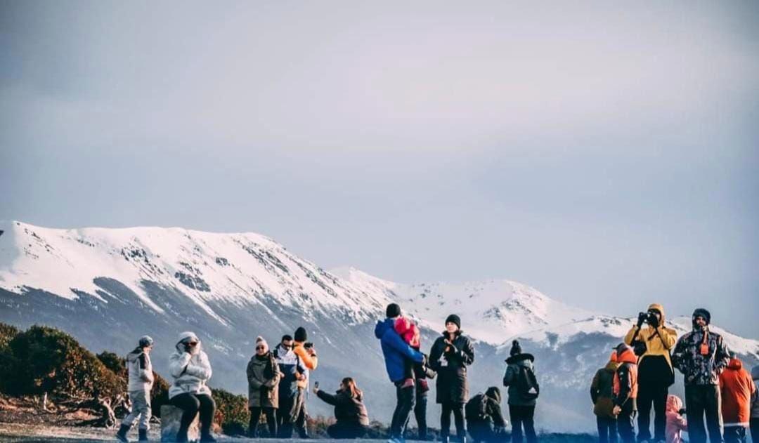 photo_5042211839827619056_y