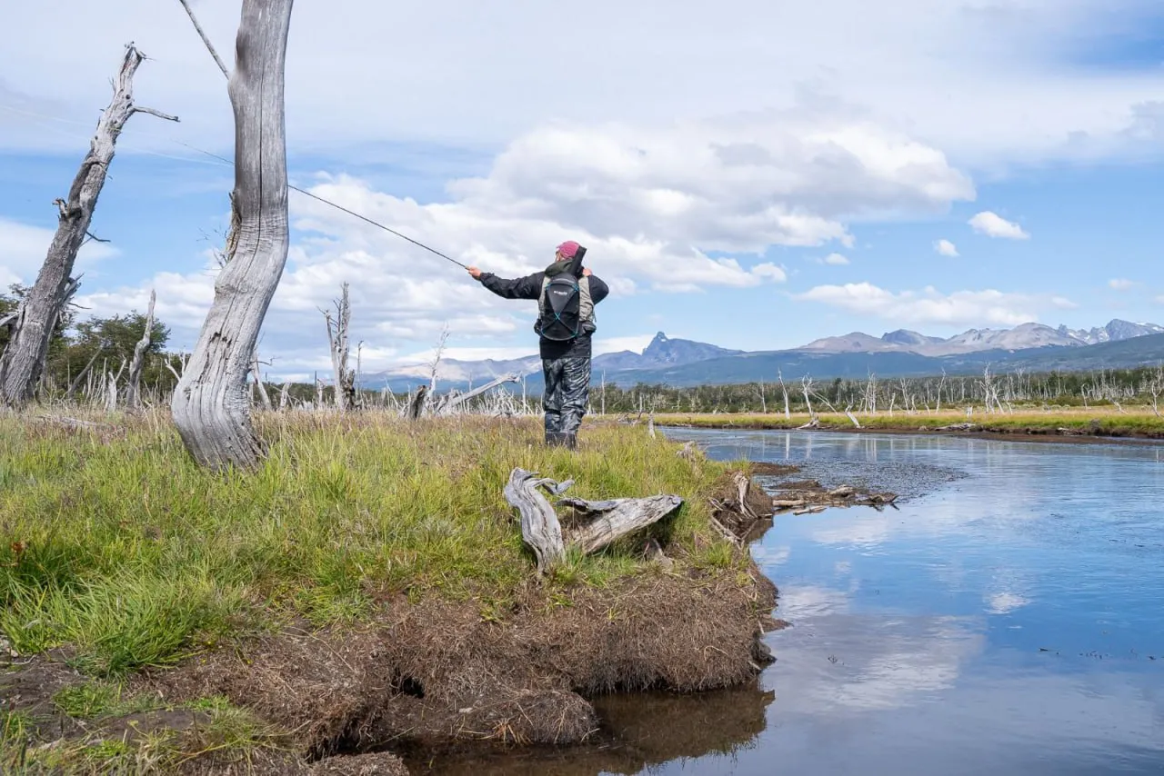 photo_4909359232826673947_y