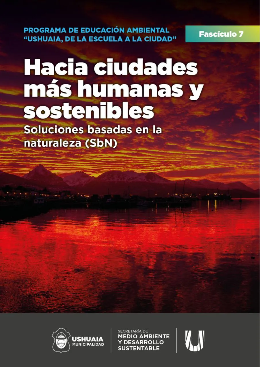 photo_5105256341915675996_y