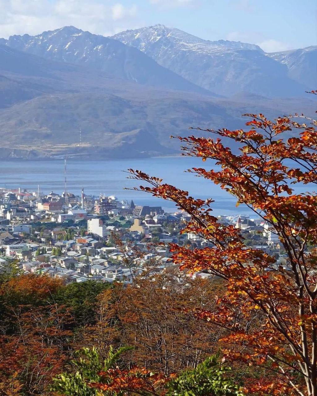 photo_5023839391369505944_y