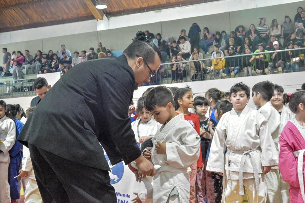 photo_5021587591555820750_y