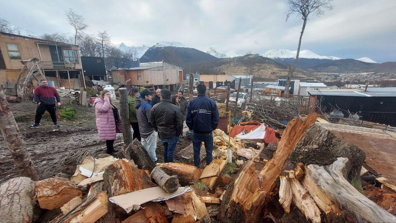 photo_4979067887771822891_y