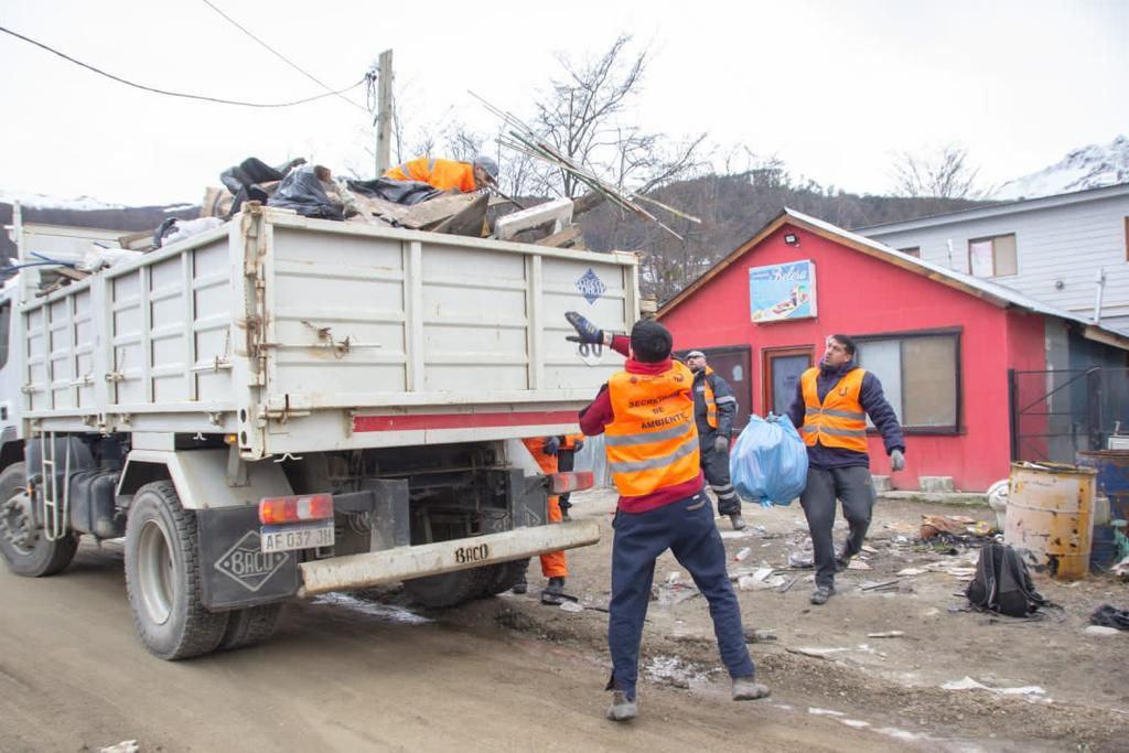 photo_4917963031569345753_y