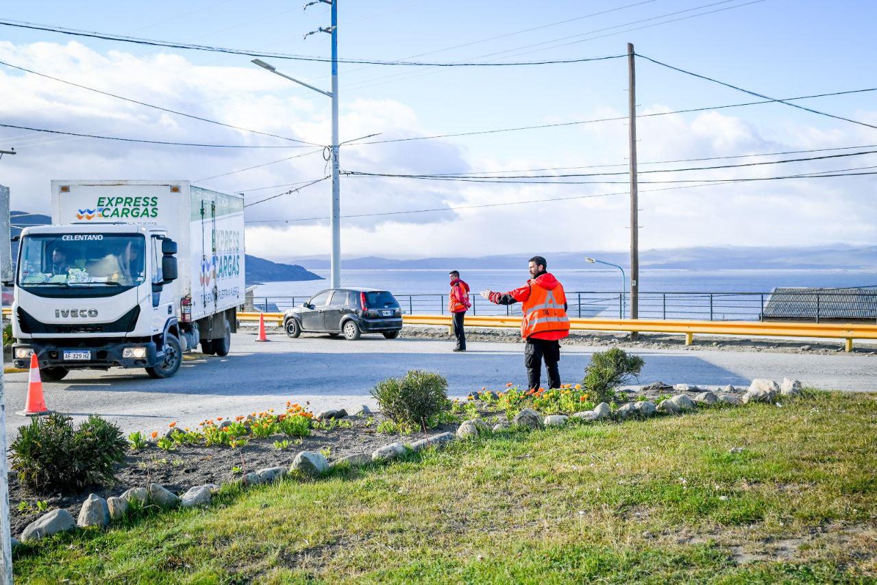 photo_4902554514272398332_y