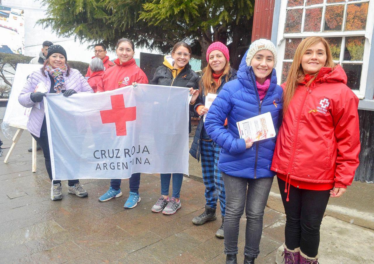 photo_4925137821681954020_y