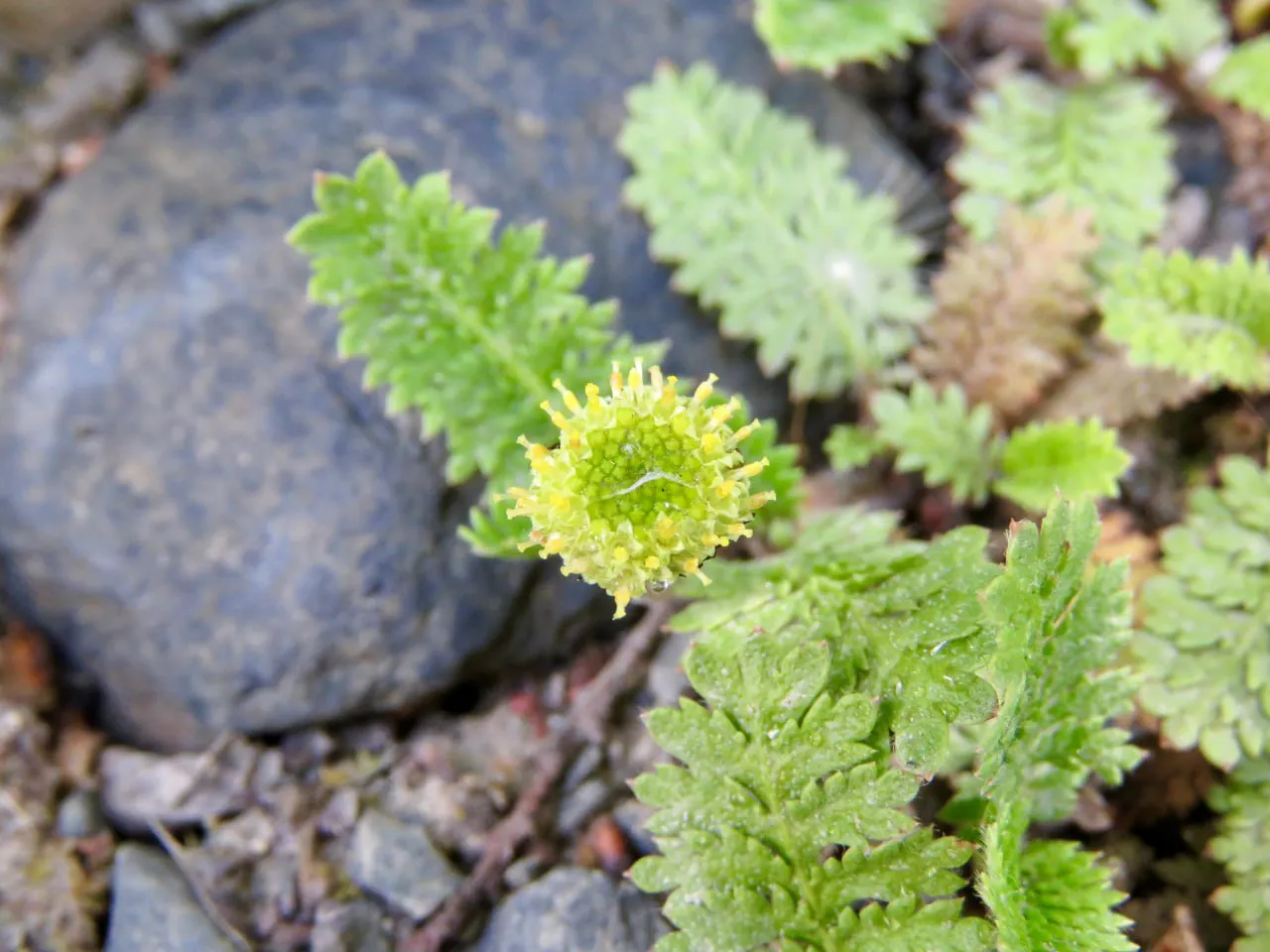 photo_4927327181261090590_y