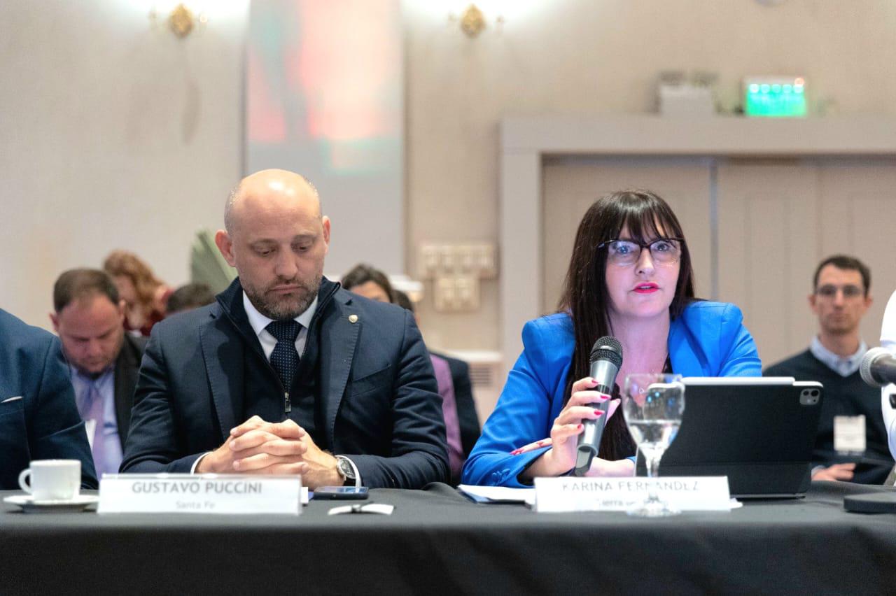 photo_5026090220520582308_y