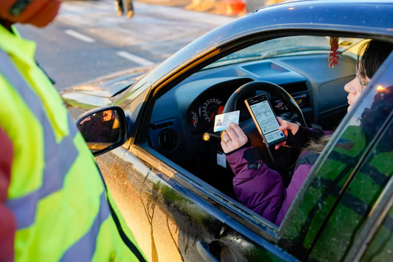 photo_5066707374055295814_y