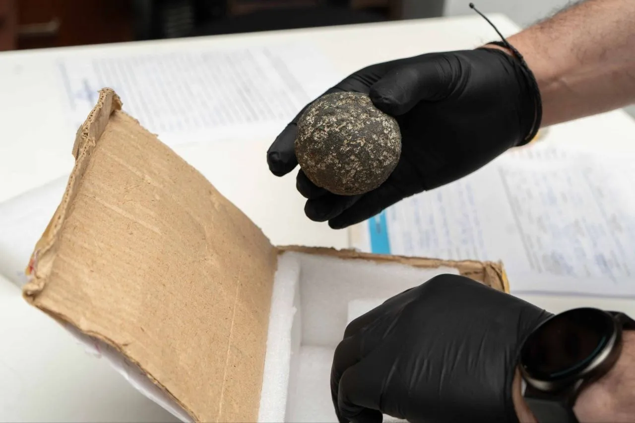 photo_5122924999856557009_y