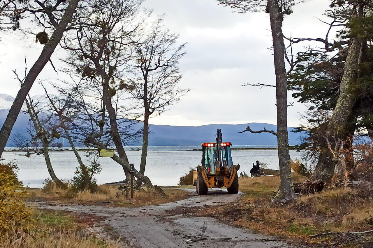 photo_5082819767768821035_y