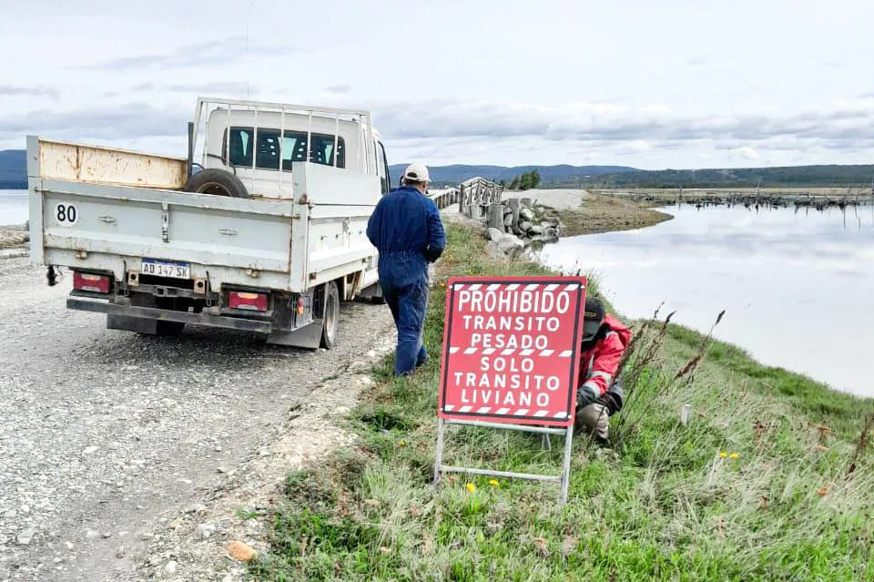 photo_4976490503671057239_y