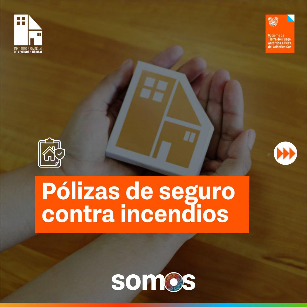 photo_5116090495704083374_y