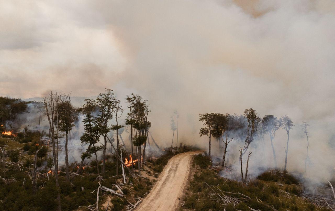 photo_5024174330099117464_y