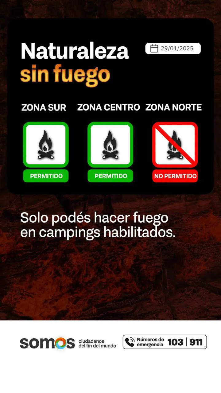 photo_4958494530567515328_y