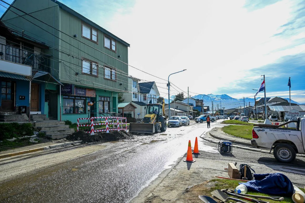 photo_4988159934105496875_y