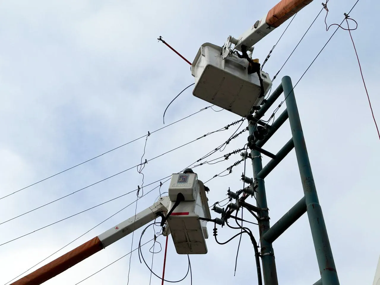 photo_4992518874939371748_y