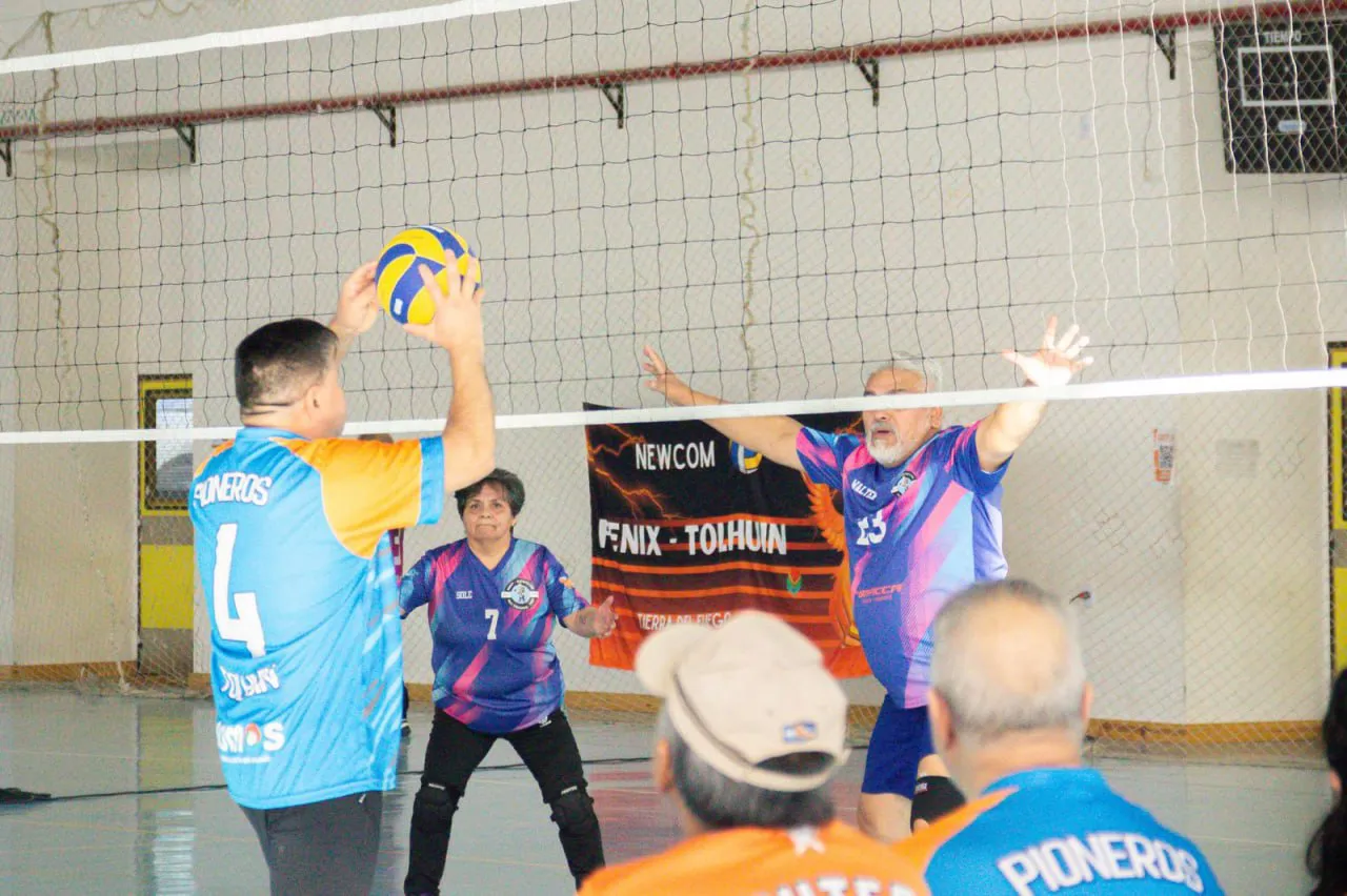 photo_5008534833755959953_y