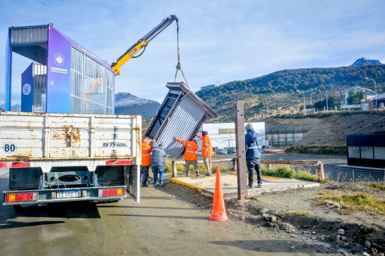 photo_4943197222858763484_y