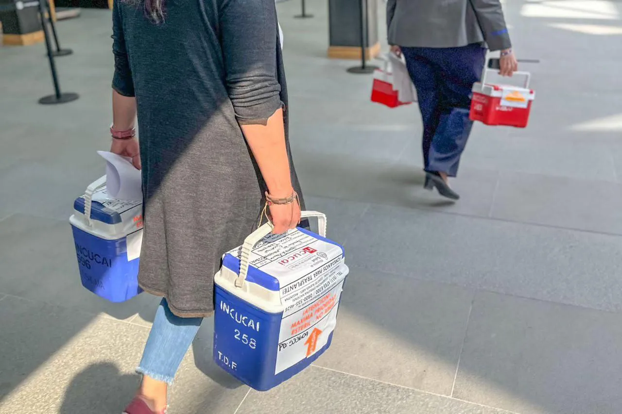 photo_5010290783890288620_y