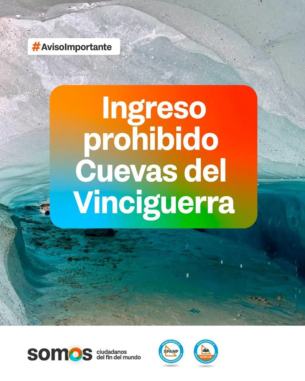 photo_5102774164351200856_y (1)