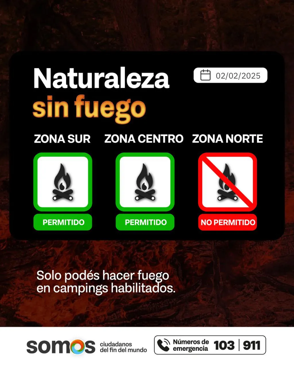 photo_4972485408009072645_y