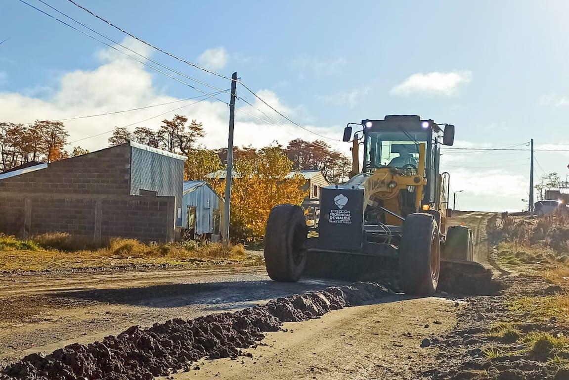 photo_4996975603588639904_y