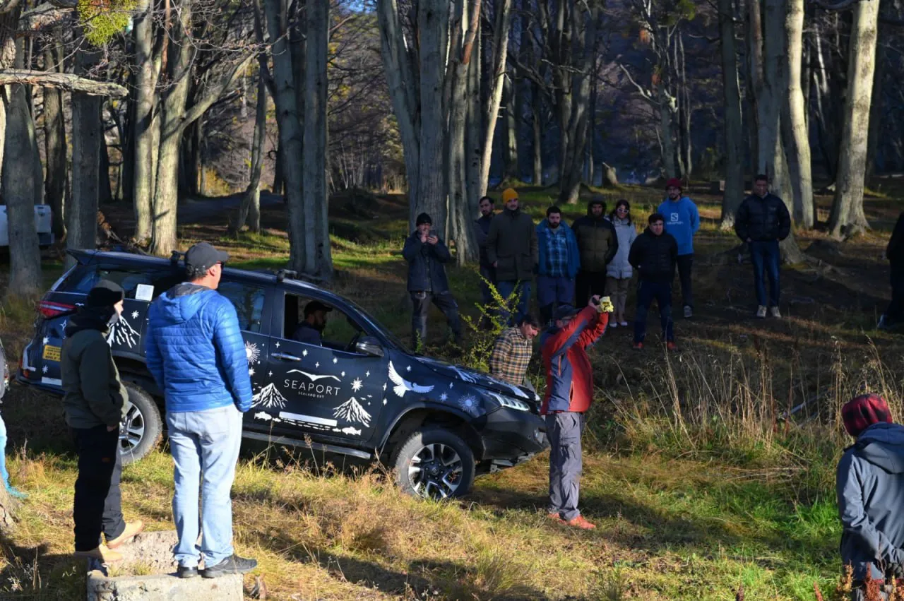 photo_5024027867419358688_y