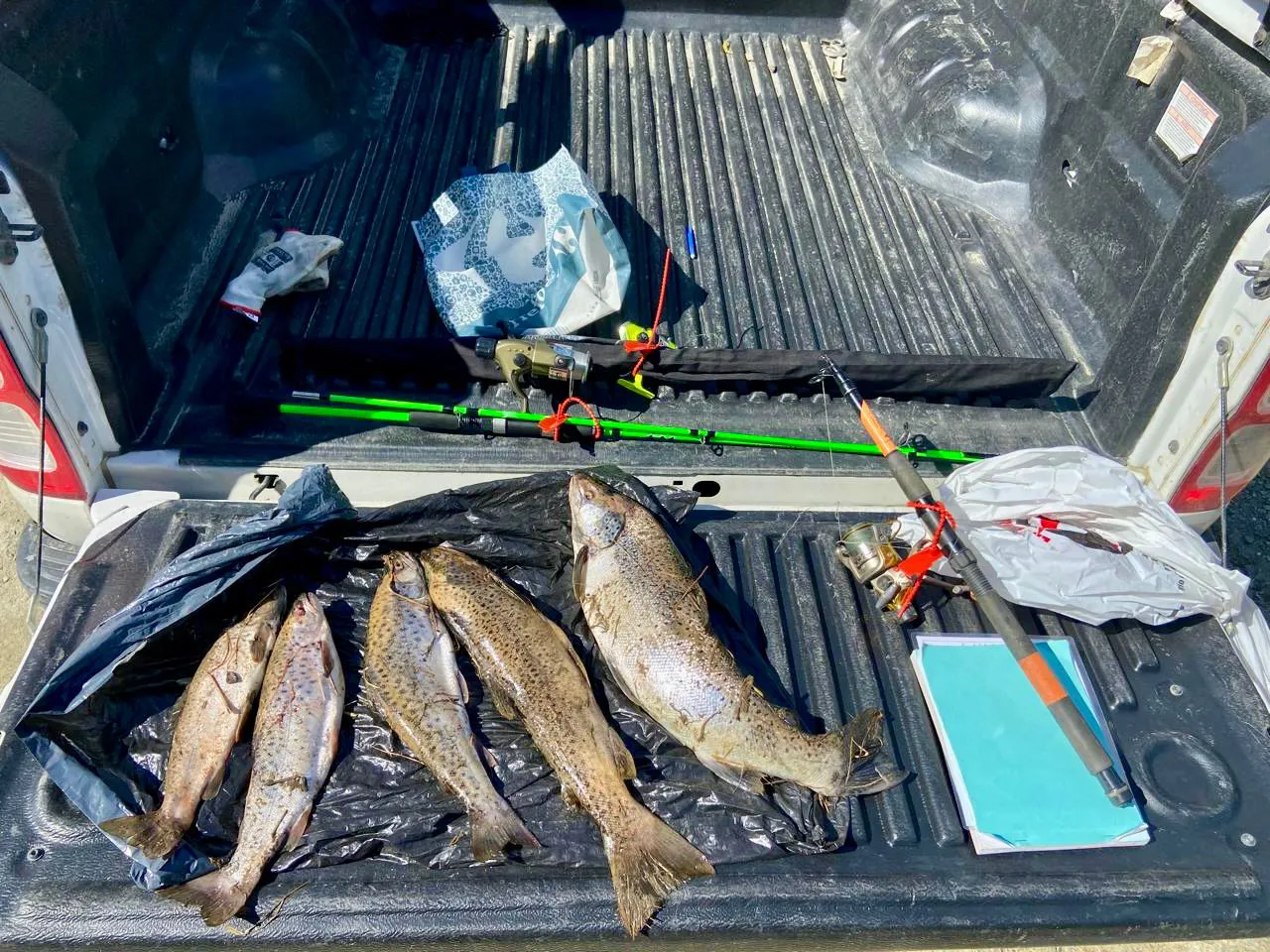 photo_5179441353518156718_y