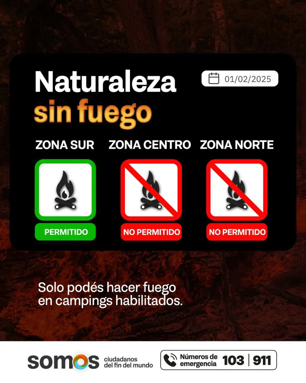 photo_4969958167647727569_y