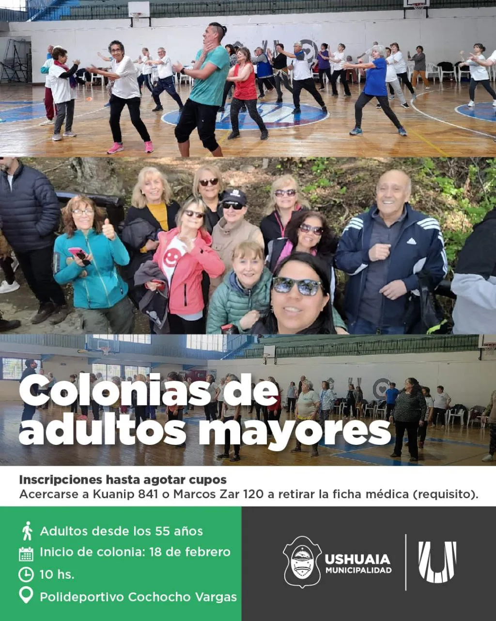 photo_5017191125592682146_y