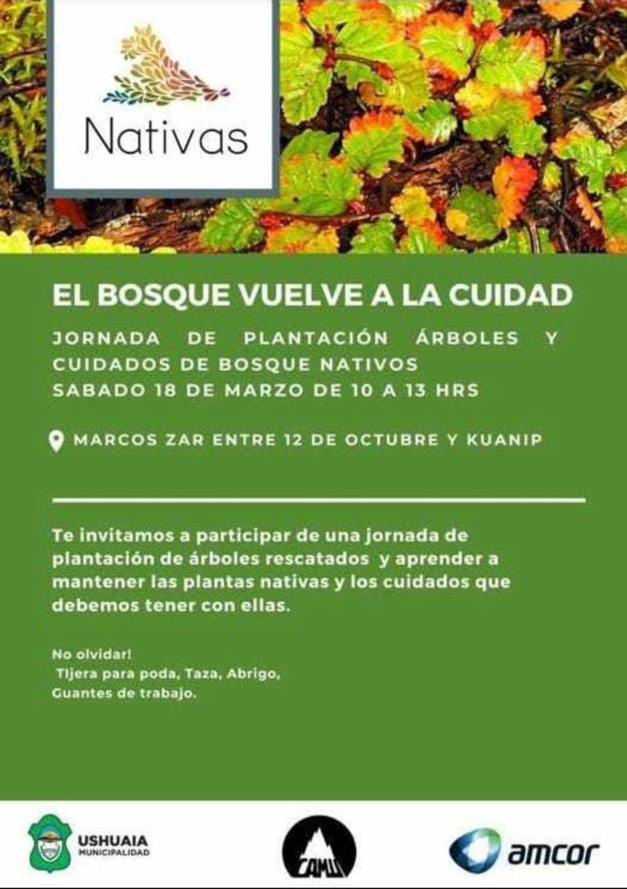 photo_4945471794589051682_y