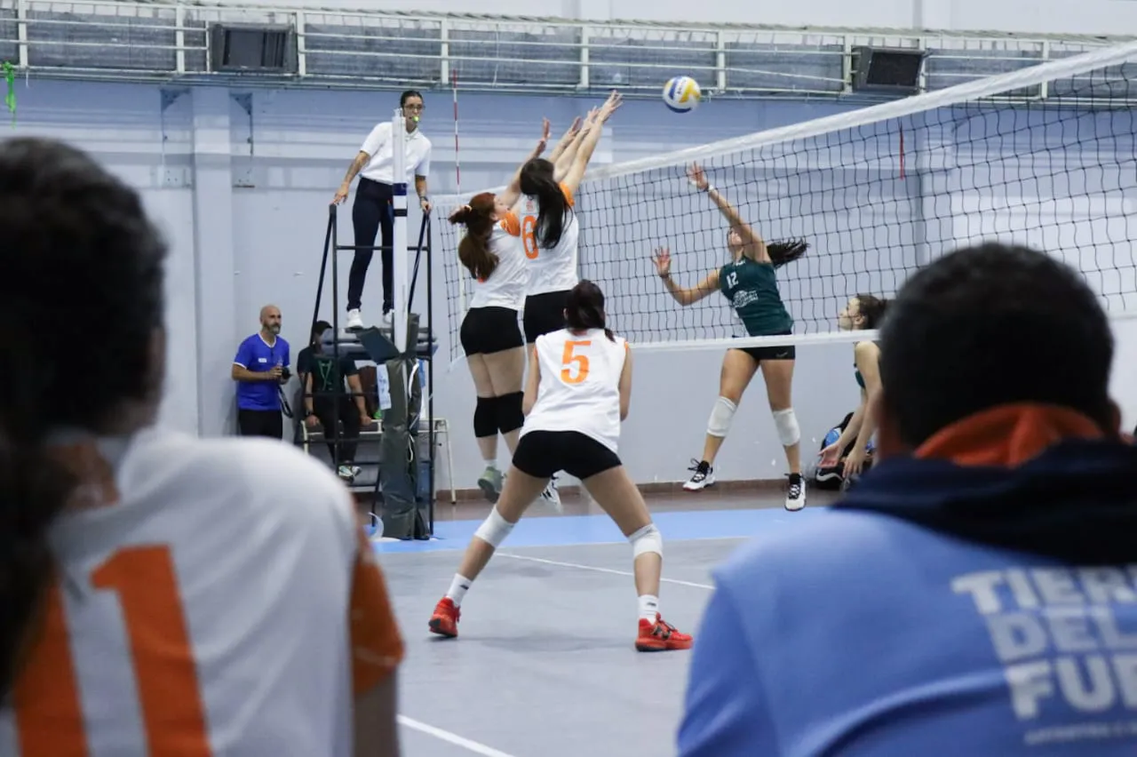 photo_4969928253200510793_y