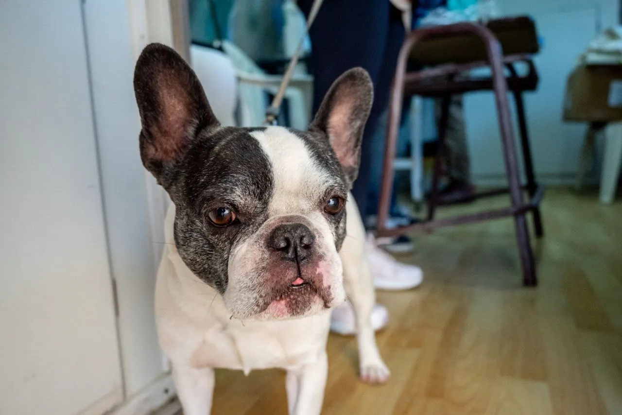 photo_4940634802420297485_y (1)