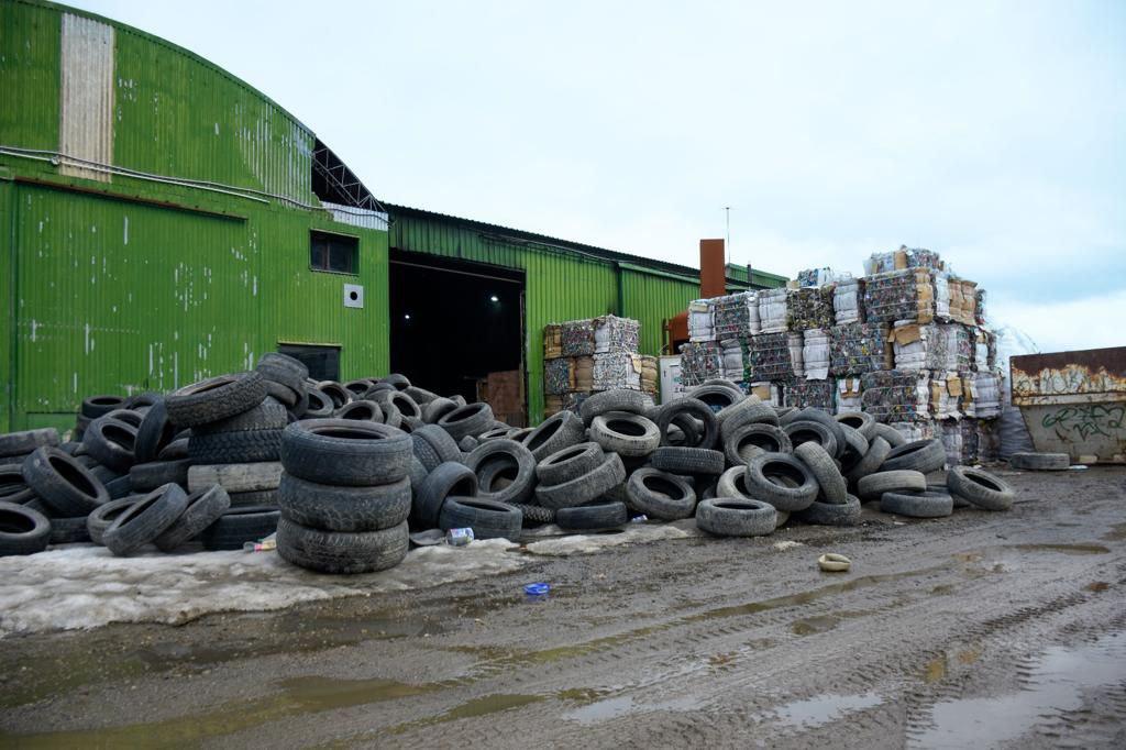 photo_4902396141648325392_y