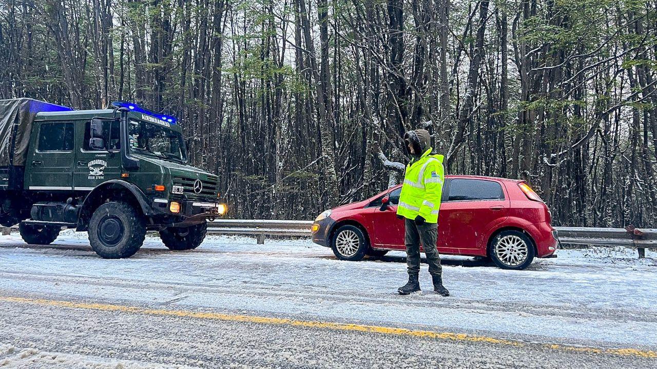 photo_5042233095620766604_y