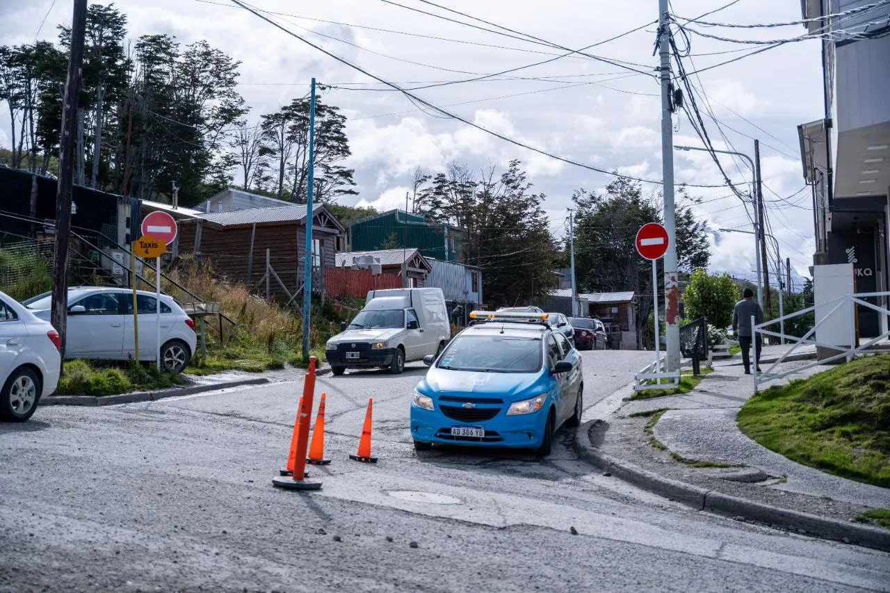 photo_5039866547165835108_y