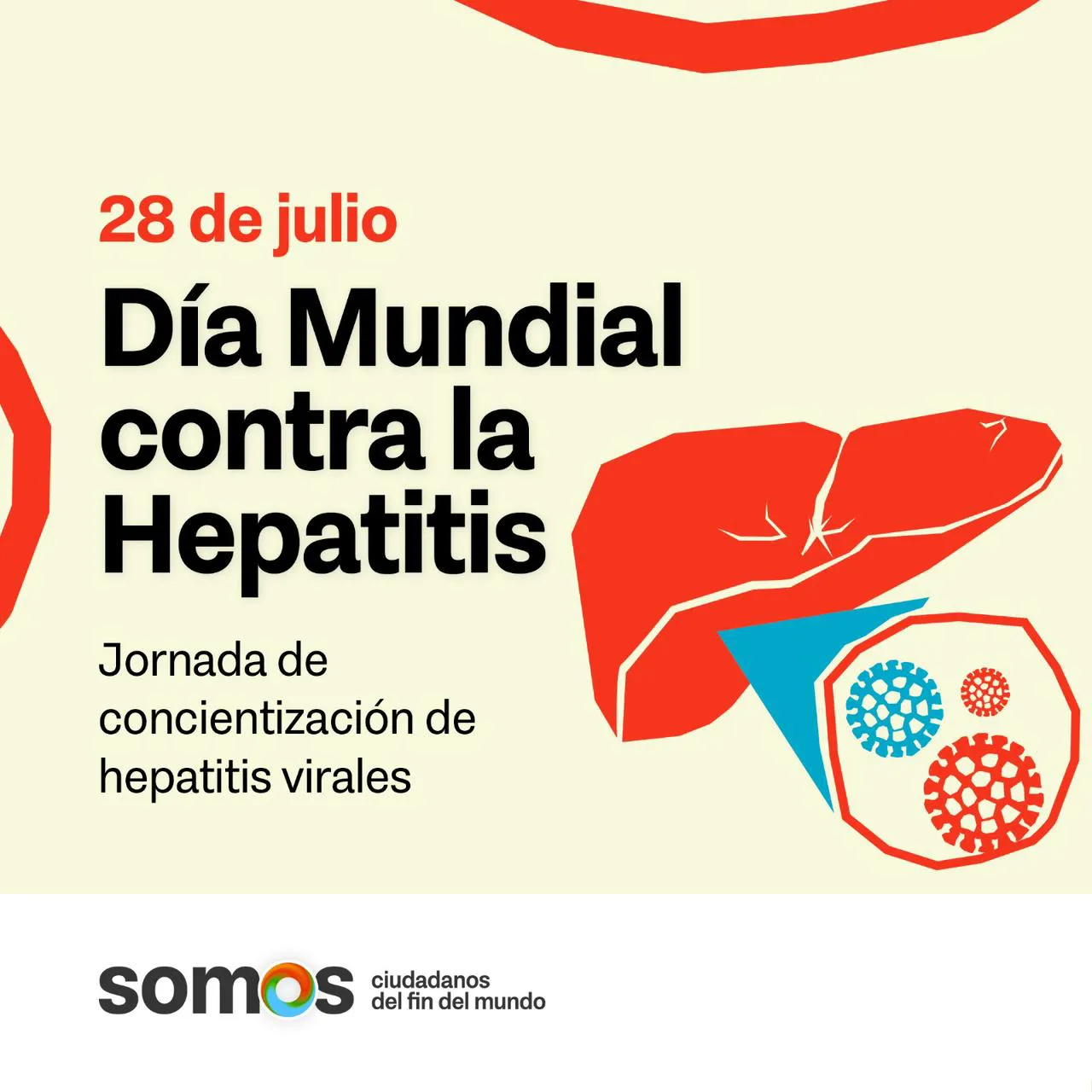 photo_4918166759048064483_y