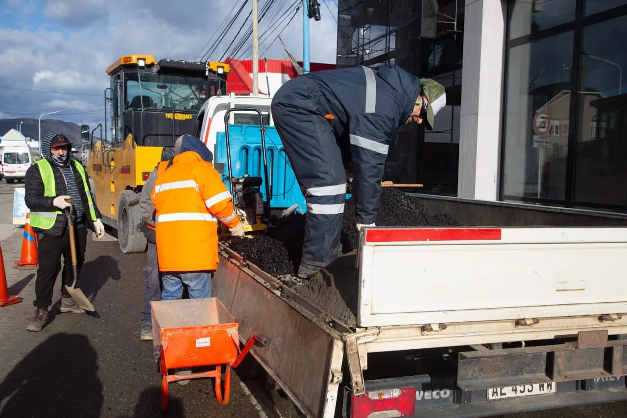 photo_4920675784453107046_y