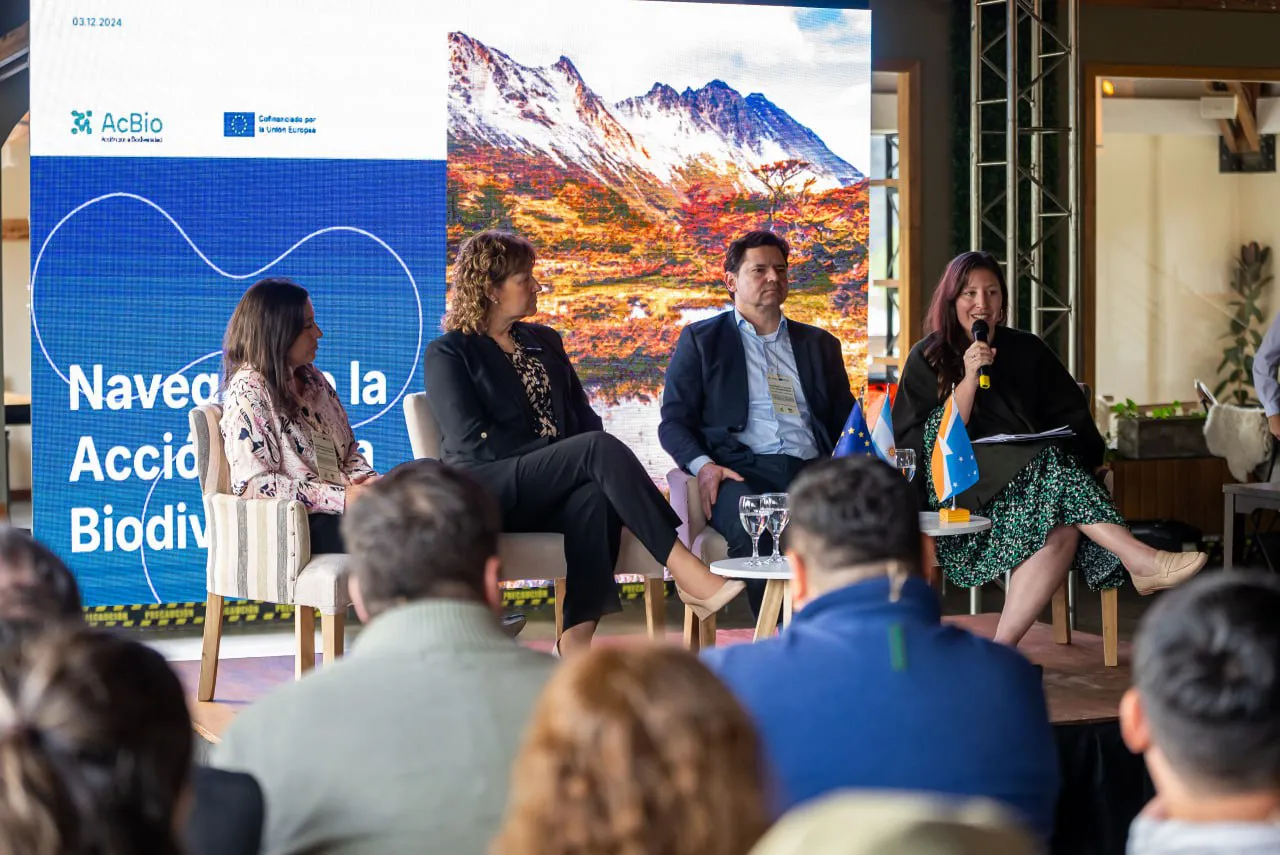 photo_5080209454150037338_y (1)